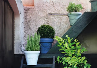 Discover Serralunga planters: modern designer vases, lighted cachepots, and luxury holders for stylish indoor and outdoor spaces. Buy now on SHOPDECOR®