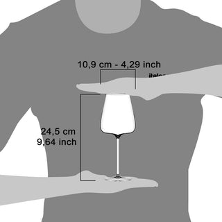Italesse Etoilé Noir 套裝 6 件紅酒高腳杯 cc。 790 透明玻璃