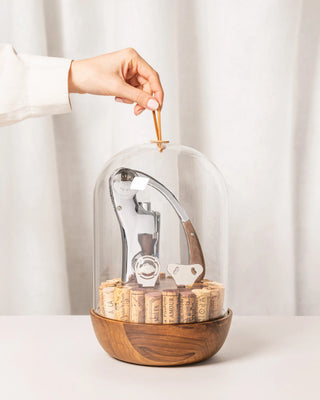 L'Atelier du Vin Oeno Motion Groom wine accessory set - Buy now on ShopDecor - Discover the best products by L'ATELIER DU VIN design