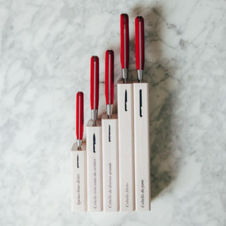 Coltellerie Berti Forgiati carving set 2645 whole red plexiglass - Buy now on ShopDecor - Discover the best products by COLTELLERIE BERTI 1895 design