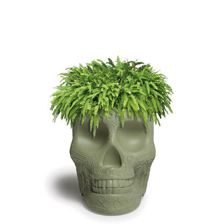 Qeeboo Mexico planter and champagne cooler in the shape of a skull - Buy now on ShopDecor - Discover the best products by QEEBOO design