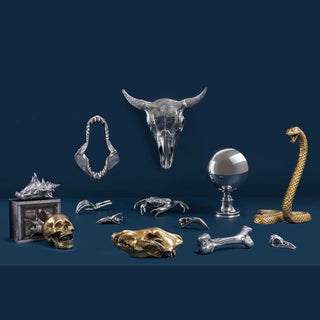 Diesel with Seletti Wunderkammer Wolf Skull decoration brass - Buy now on ShopDecor - Discover the best products by DIESEL LIVING WITH SELETTI design