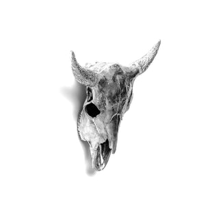 Diesel with Seletti Wunderkammer Bison Skull decoration bison - Buy now on ShopDecor - Discover the best products by DIESEL LIVING WITH SELETTI design