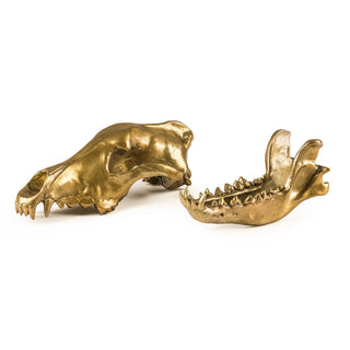 Diesel with Seletti Wunderkammer Wolf Skull decoration brass - Buy now on ShopDecor - Discover the best products by DIESEL LIVING WITH SELETTI design