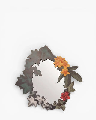 Ibride Boucan mirror - Buy now on ShopDecor - Discover the best products by IBRIDE design