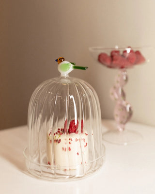 Ichendorf Animal Farm optic dome with dish bird - Buy now on ShopDecor - Discover the best products by ICHENDORF design