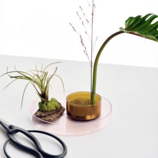 Ichendorf Kenzan set of 3 items: 2 glass trays + 1 brass flower frog - Buy now on ShopDecor - Discover the best products by ICHENDORF design