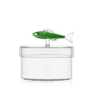 Ichendorf Marine Garden box sardine green - Buy now on ShopDecor - Discover the best products by ICHENDORF design