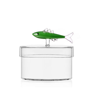 Ichendorf Marine Garden box sardine green - Buy now on ShopDecor - Discover the best products by ICHENDORF design