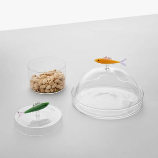Ichendorf Marine Garden Dome with dish sardine - Buy now on ShopDecor - Discover the best products by ICHENDORF design
