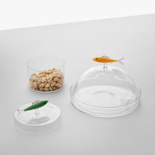 Ichendorf Marine Garden Dome with dish sardine - Buy now on ShopDecor - Discover the best products by ICHENDORF design