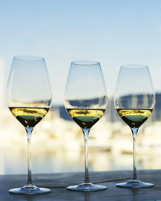 Italesse Masterclass 48 set 6 stemmed champagne glasses cc. 480 in clear glass