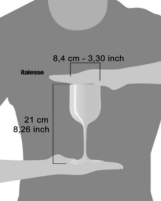 Italesse Moonlight Beach set 6 wine stemmed glasses cc. 410 polycarbonate