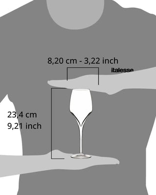 Italesse Tiburon Gran Cru Flûte set 6 champagne flûte cc. 390 in clear glass
