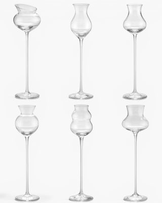 Ivv I Distillati set 6 assorted liqueur glasses - Buy now on ShopDecor - Discover the best products by IVV design