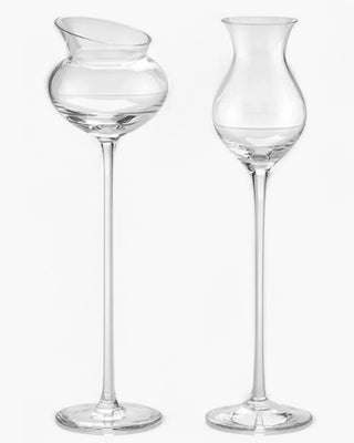 Ivv I Distillati set 6 assorted liqueur glasses - Buy now on ShopDecor - Discover the best products by IVV design