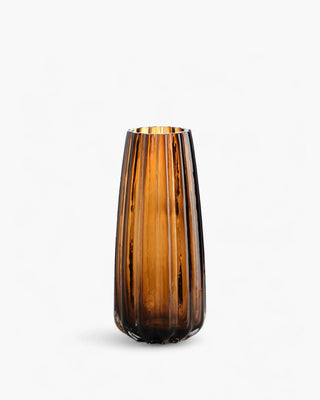 Ivv Oyster glass vase Amber H29 cm - H11.4 in - Buy now on ShopDecor - Discover the best products by IVV design