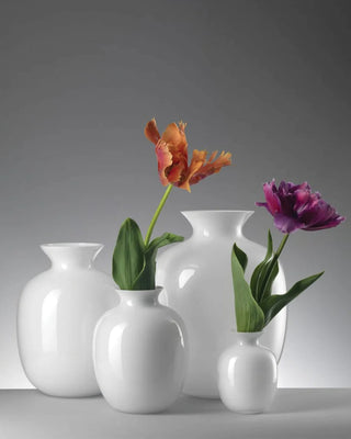 Ivv Rialto vase in cased glass - Buy now on ShopDecor - Discover the best products by IVV design