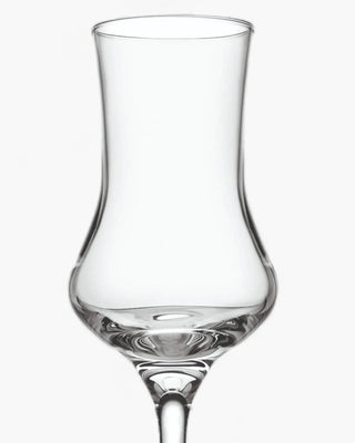 Ivv Tasting hour set 2 grappa glasses 9 cl - 3 oz - Buy now on ShopDecor - Discover the best products by IVV design