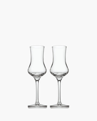 Ivv Tasting hour set 2 grappa glasses 9 cl - 3 oz - Buy now on ShopDecor - Discover the best products by IVV design