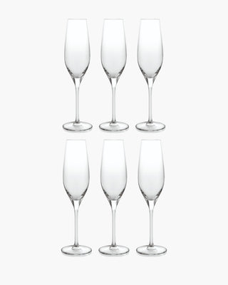 Ivv Vizio set 6 flute n clear glasses 21 cl - 7.11 oz - Buy now on ShopDecor - Discover the best products by IVV design