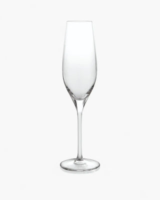 Ivv Vizio set 6 glass flutes - Buy now on ShopDecor - Discover the best products by IVV design