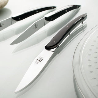 Forge de Laguiole Signature Eric Raffy table knives set with acrylic handle - Buy now on ShopDecor - Discover the best products by FORGE DE LAGUIOLE design