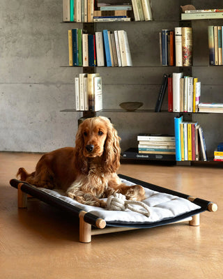 Opinion Ciatti Berberé transportable bed with padded mattress for small dogs - Buy now on ShopDecor - Discover the best products by OPINION CIATTI design