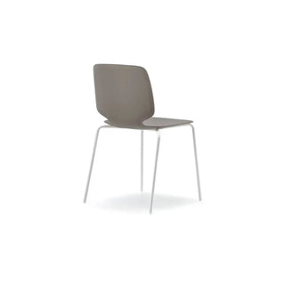 Pedrali Babila 2730 chair with white steel legs and tecnopolymer shell