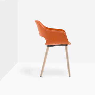 Pedrali Babila 2755 armchair with ash legs and polypropylene shell