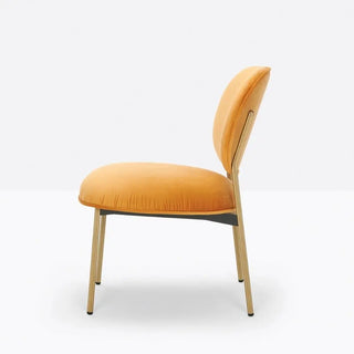 Pedrali Blume 2951 lounge chair with upholstered seat and back and anodized aluminium structure