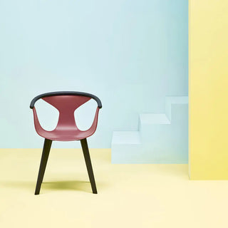 Pedrali Fox 3725 ash armchair with polypropylene shell