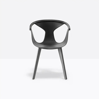 Pedrali Fox 3725 ash armchair with polypropylene shell