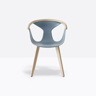 Pedrali Fox 3725 ash armchair with polypropylene shell