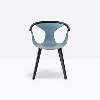 Pedrali Fox 3725 ash armchair with polypropylene shell