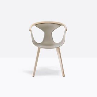 Pedrali Fox 3725 ash armchair with polypropylene shell