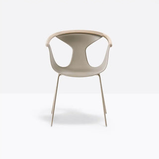 Pedrali Fox 3726 steel armchair with polypropylene shell and ash backrest