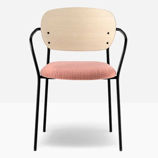 Pedrali Jazz 3705 upholstered armchair with ash backrest and steel frame