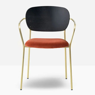 Pedrali Jazz 3705 upholstered armchair with ash backrest and steel frame