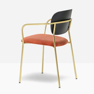 Pedrali Jazz 3705 upholstered armchair with ash backrest and steel frame