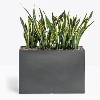 Pedrali Kado polyethylene vase
