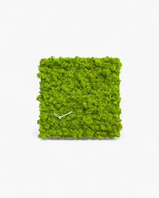 Progetti Clock_Circle clock Square - Buy now on ShopDecor - Discover the best products by PROGETTI design