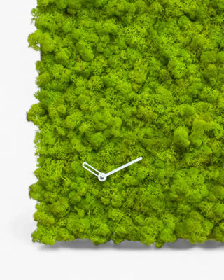 Progetti Clock_Circle clock - Buy now on ShopDecor - Discover the best products by PROGETTI design