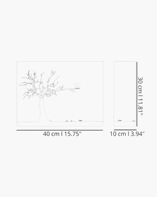 Progetti CùCùRùKù cuckoo clock - Buy now on ShopDecor - Discover the best products by PROGETTI design