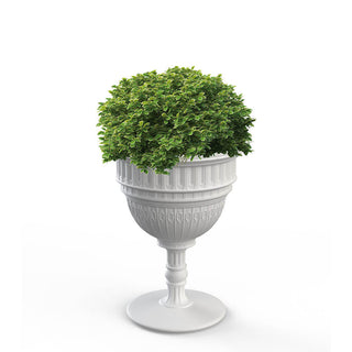 Qeeboo Capitol planter and champagne cooler in polyethylene - Buy now on ShopDecor - Discover the best products by QEEBOO design