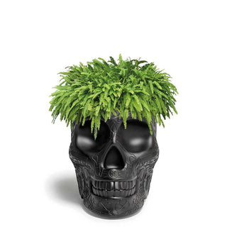 Qeeboo Mexico planter and champagne cooler in the shape of a skull - Buy now on ShopDecor - Discover the best products by QEEBOO design