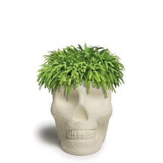 Qeeboo Mexico planter and champagne cooler in the shape of a skull Qeeboo Ivory - Buy now on ShopDecor - Discover the best products by QEEBOO design