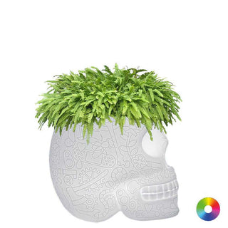 Qeeboo Mexico planter and champagne cooler in the shape of a skull outdoor LED - Buy now on ShopDecor - Discover the best products by QEEBOO design