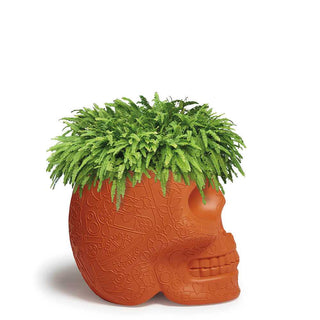 Qeeboo Mexico planter and champagne cooler in the shape of a skull - Buy now on ShopDecor - Discover the best products by QEEBOO design