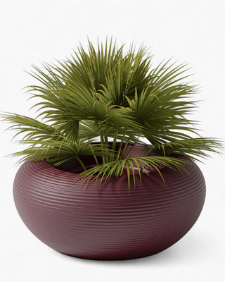 Qeeboo Nami planter - Buy now on ShopDecor - Discover the best products by QEEBOO design